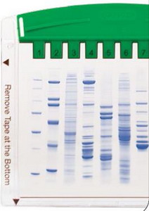 Bio-Rad美國伯樂小垂直電泳槽1658001,凝膠數(shù)：1-4塊,1.0mm厚 ,10孔
