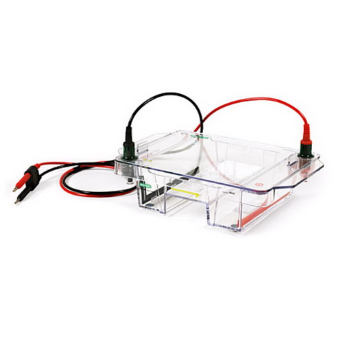 Bio-rad美國伯樂寬式迷你水平電泳槽Mini-Sub Cell GT Cell1704485 