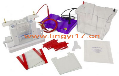 英國Cleaver CVS10DSYS迷你垂直電泳槽